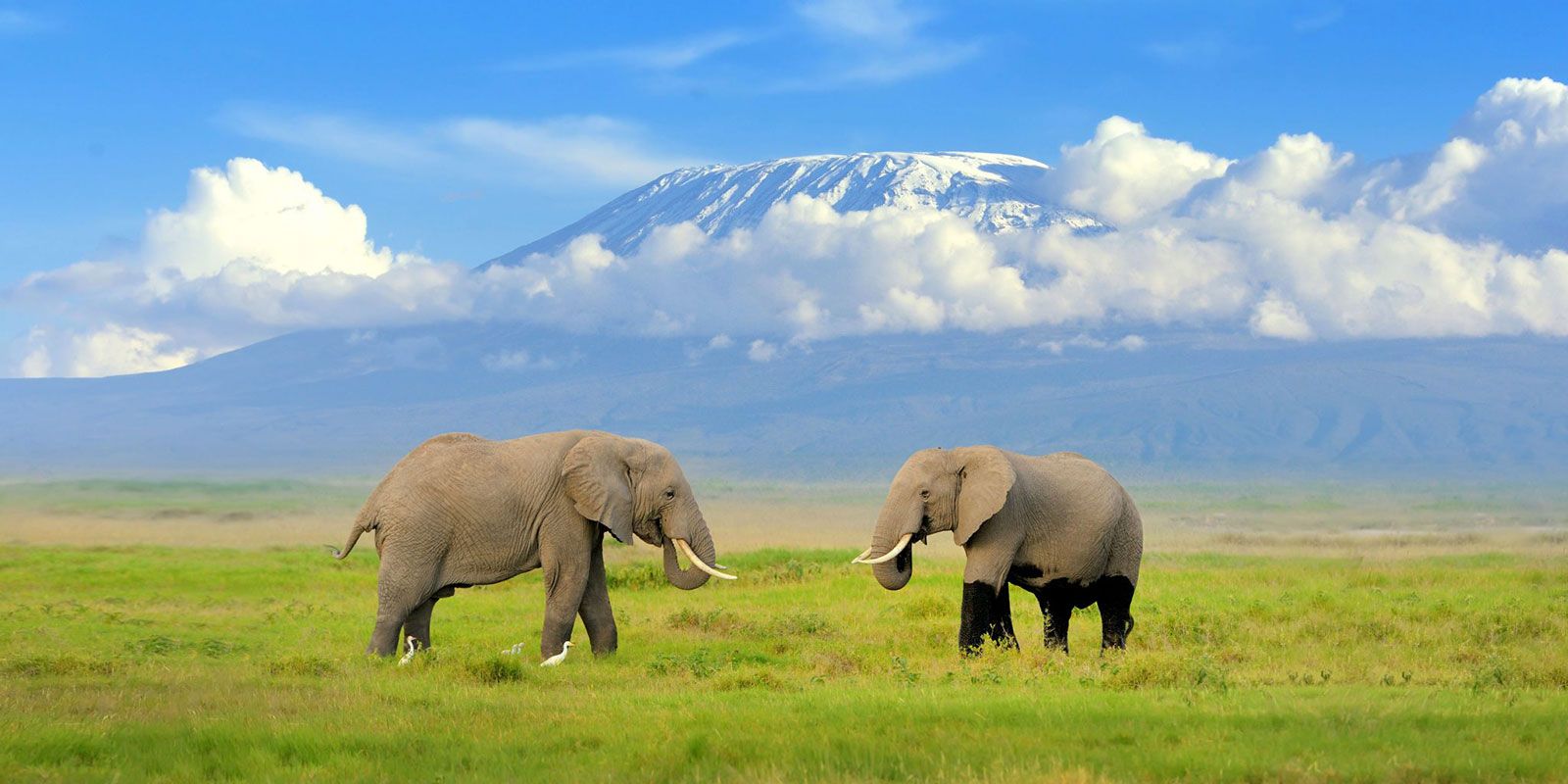 Climate Change and African Safaris: The New Era of Sustainable Travel in East Africa