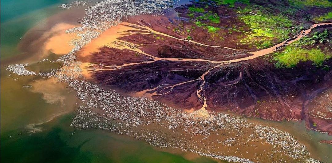 Lake Bogoria National Park