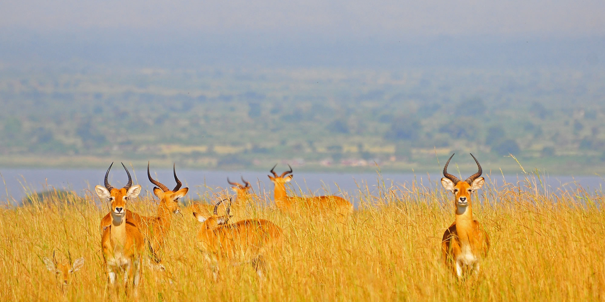 Lake Manyara National Park