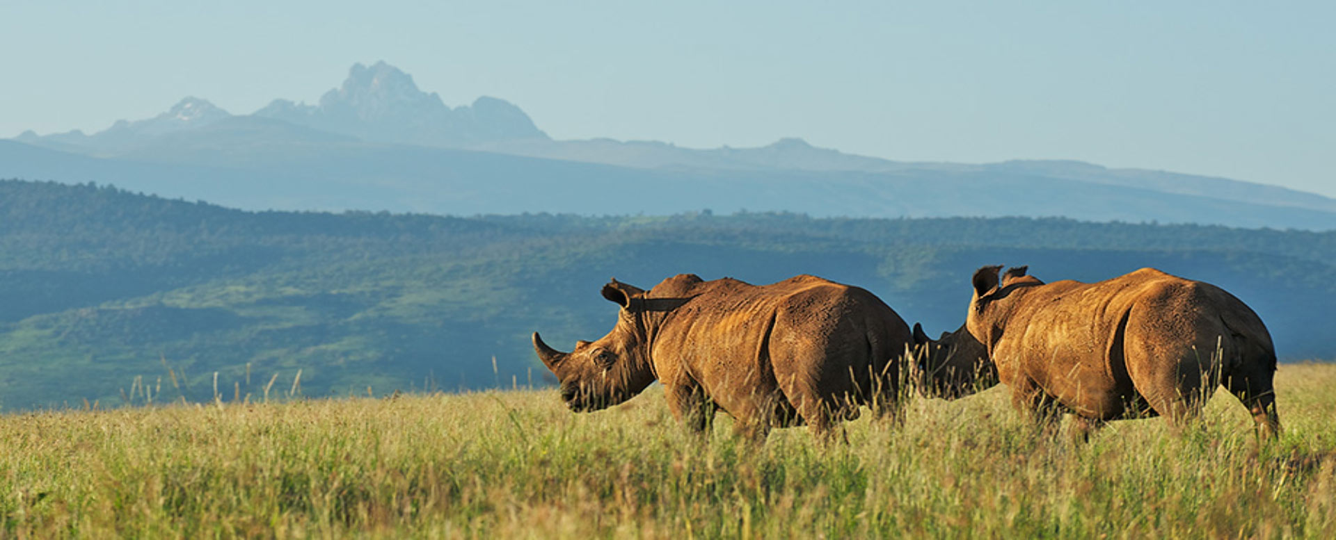Mount Kenya National Park