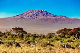 Mount Kilimanjaro National Park