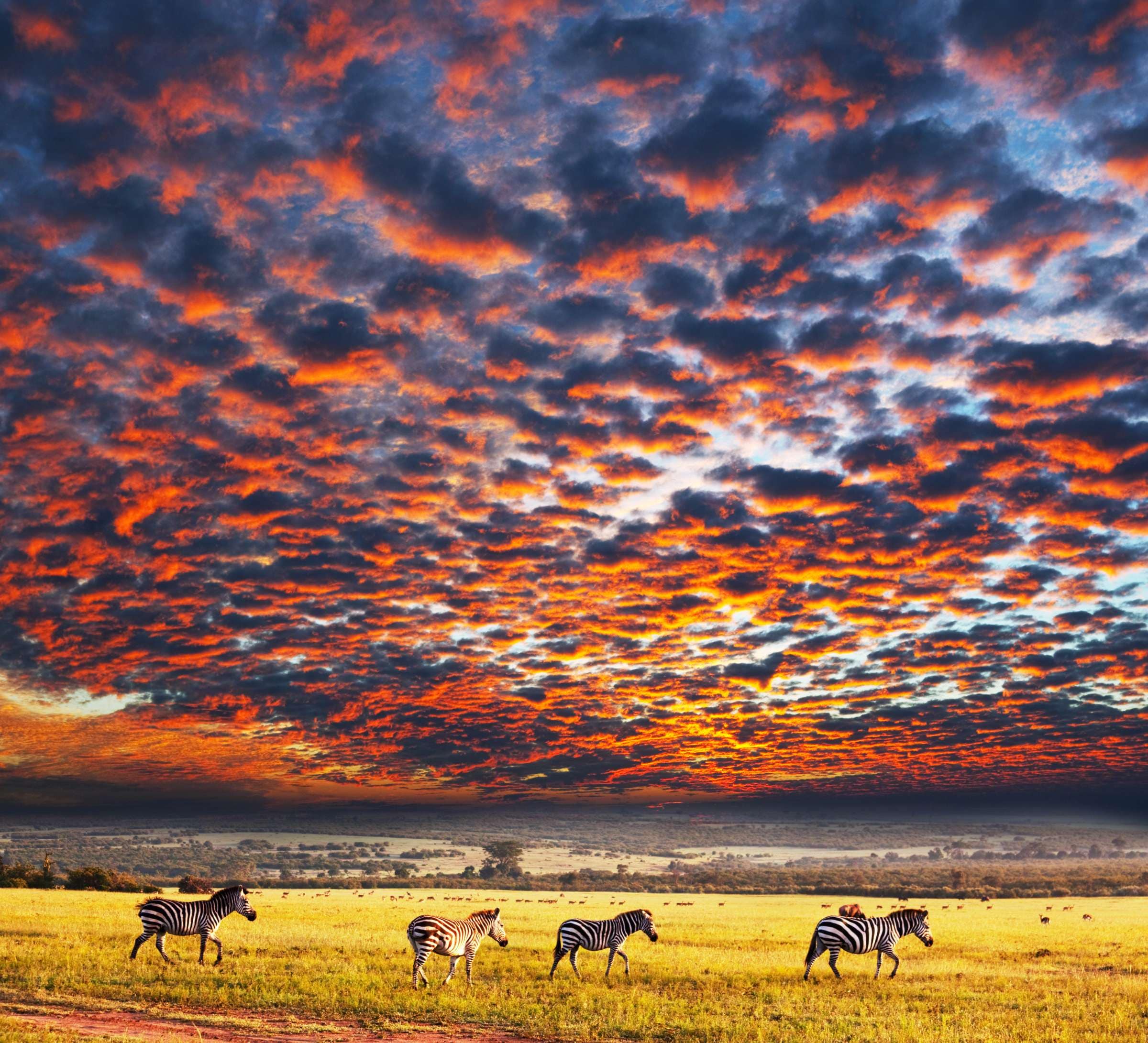Serengeti National Park