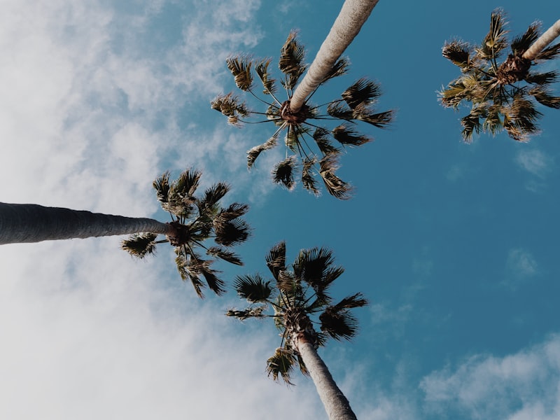 Rhino Lodge Ngorongoro