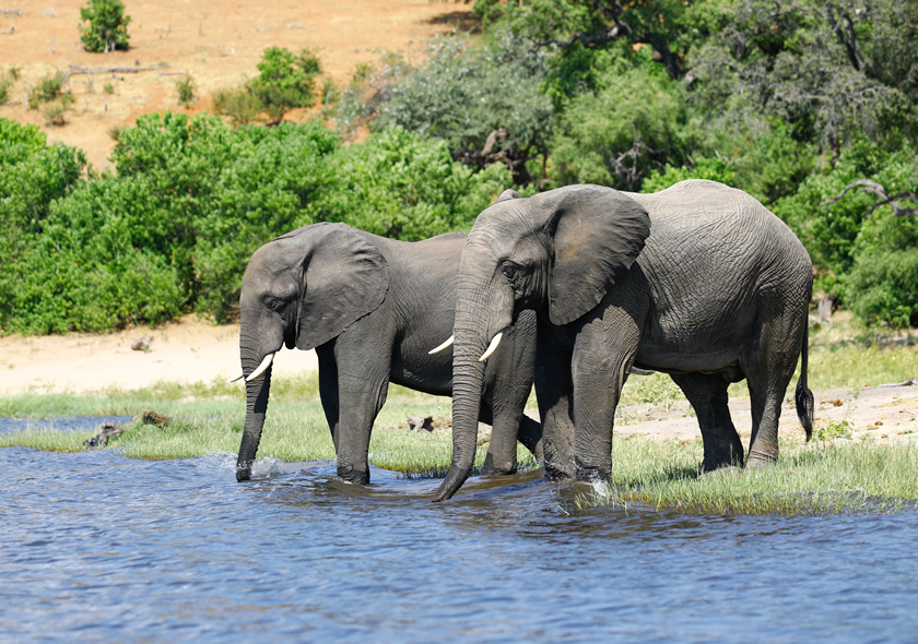 3 Days Amboseli National Park