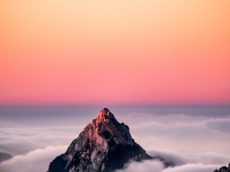 Amboseli Elephant Safari